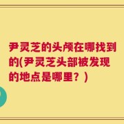 尹灵芝的头颅在哪找到的(尹灵芝头部被发现的地点是哪里？)