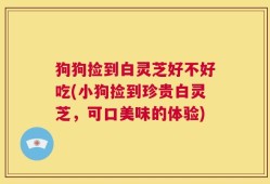 狗狗捡到白灵芝好不好吃(小狗捡到珍贵白灵芝，可口美味的体验)