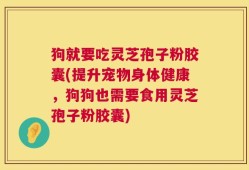 狗就要吃灵芝孢子粉胶囊(提升宠物身体健康，狗狗也需要食用灵芝孢子粉胶囊)