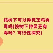 桉树下可以种灵芝吗有毒吗(桉树下种灵芝有毒吗？可行性探究)