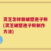 灵芝怎样做破壁孢子粉(灵芝破壁孢子粉制作方法)
