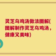 灵芝乌鸡汤做法图解(图解制作灵芝乌鸡汤，健康又美味)