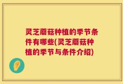 灵芝蘑菇种植的季节条件有哪些(灵芝蘑菇种植的季节与条件介绍)