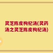 灵芝陈皮枸杞汤(灵药汤之灵芝陈皮枸杞汤)