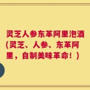 灵芝人参东革阿里泡酒(灵芝、人参、东革阿里，自制美味革命！)