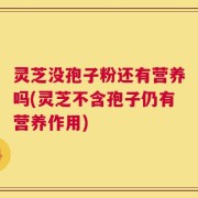 灵芝没孢子粉还有营养吗(灵芝不含孢子仍有营养作用)