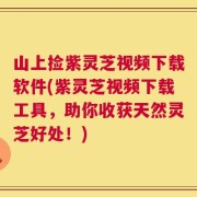 山上捡紫灵芝视频下载软件(紫灵芝视频下载工具，助你收获天然灵芝好处！)