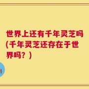 世界上还有千年灵芝吗(千年灵芝还存在于世界吗？)