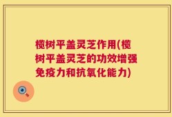 榄树平盖灵芝作用(榄树平盖灵芝的功效增强免疫力和抗氧化能力)
