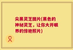 尖黑灵芝图片(黑色的神秘灵芝，让你大开眼界的惊艳照片)