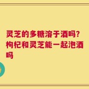 灵芝的多糖溶于酒吗？枸杞和灵芝能一起泡酒吗
