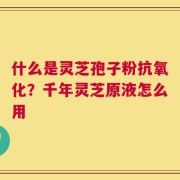 什么是灵芝孢子粉抗氧化？千年灵芝原液怎么用