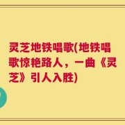 灵芝地铁唱歌(地铁唱歌惊艳路人，一曲《灵芝》引人入胜)