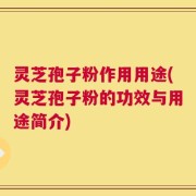 灵芝孢子粉作用用途(灵芝孢子粉的功效与用途简介)