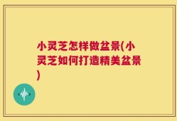 小灵芝怎样做盆景(小灵芝如何打造精美盆景)