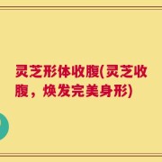 灵芝形体收腹(灵芝收腹，焕发完美身形)