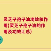 灵芝子孢子油功效和作用(灵芝子孢子油的作用及功效汇总)