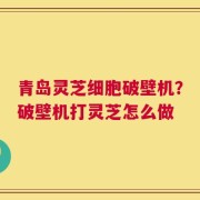 青岛灵芝细胞破壁机？破壁机打灵芝怎么做