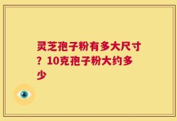 灵芝孢子粉有多大尺寸？10克孢子粉大约多少