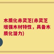 木质化赤灵芝(赤灵芝增强木材特性，具备木质化潜力)