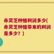 赤灵芝种植利润多少(赤灵芝种植带来的利润是多少？)