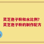 灵芝孢子粉和水比例？灵芝孢子粉的制作配方