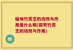 缅甸竹灵芝的功效与作用是什么呢(探究竹灵芝的功效与作用)