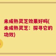 未成熟灵芝效果好吗(未成熟灵芝：探寻它的功效)