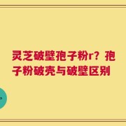 灵芝破壁孢子粉r？孢子粉破壳与破壁区别