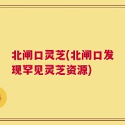 北闸口灵芝(北闸口发现罕见灵芝资源)