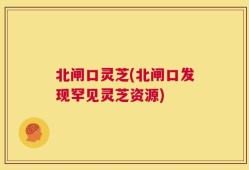 北闸口灵芝(北闸口发现罕见灵芝资源)