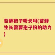 苔藓孢子粉长吗(苔藓生长需要孢子粉的助力)
