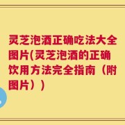 灵芝泡酒正确吃法大全图片(灵芝泡酒的正确饮用方法完全指南（附图片）)