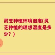 灵芝种植环境湿度(灵芝种植的理想湿度是多少？)