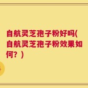 自航灵芝孢子粉好吗(自航灵芝孢子粉效果如何？)