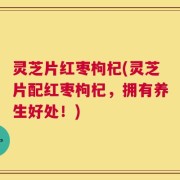 灵芝片红枣枸杞(灵芝片配红枣枸杞，拥有养生好处！)