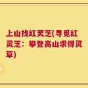 上山找红灵芝(寻觅红灵芝：攀登高山求得灵草)