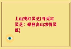 上山找红灵芝(寻觅红灵芝：攀登高山求得灵草)