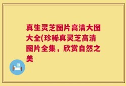 真生灵芝图片高清大图大全(珍稀真灵芝高清图片全集，欣赏自然之美