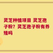 灵芝种植项目 灵芝孢子粉？灵芝孢子粉有养殖吗