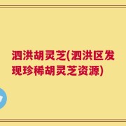 泗洪胡灵芝(泗洪区发现珍稀胡灵芝资源)