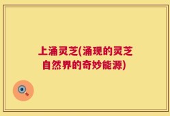上涌灵芝(涌现的灵芝 自然界的奇妙能源)