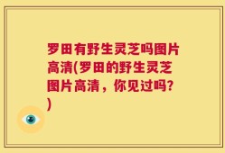 罗田有野生灵芝吗图片高清(罗田的野生灵芝图片高清，你见过吗？)
