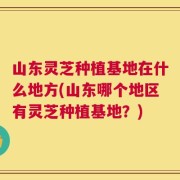 山东灵芝种植基地在什么地方(山东哪个地区有灵芝种植基地？)