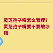 灵芝孢子粉怎么管理？灵芝孢子粉要不要放冰箱
