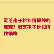 灵芝孢子粉如何提纯的原理？灵芝孢子粉如何找销路