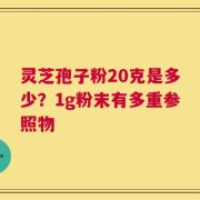 灵芝孢子粉20克是多少？1g粉末有多重参照物