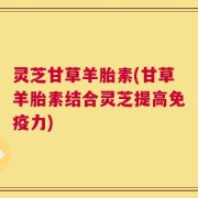 灵芝甘草羊胎素(甘草羊胎素结合灵芝提高免疫力)