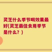 灵芝什么季节喝效果最好(灵芝最佳食用季节是什么？)