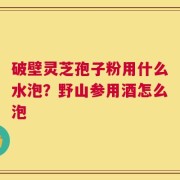 破壁灵芝孢子粉用什么水泡？野山参用酒怎么泡